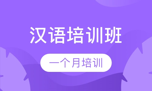一个月汉语培训班