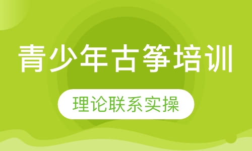 青少年古筝培训