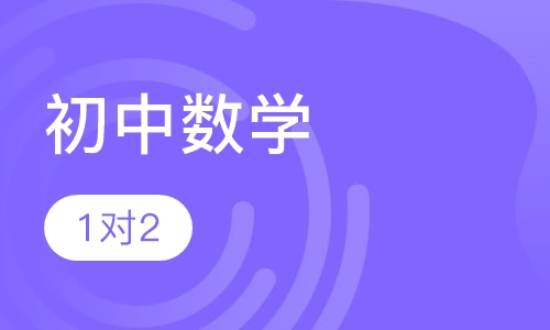 初中数学一对二