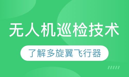 无人机巡检技术