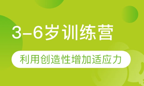 3-6岁训练营