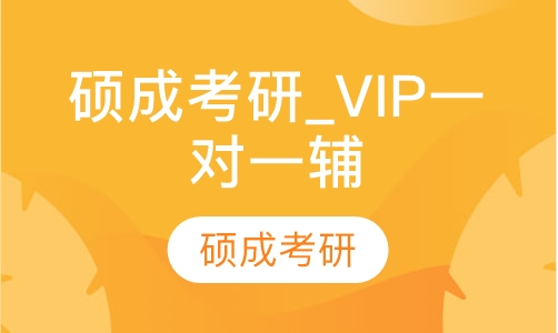 硕成考研_VIP一对一辅导