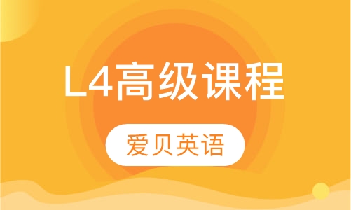 L4 高级课程