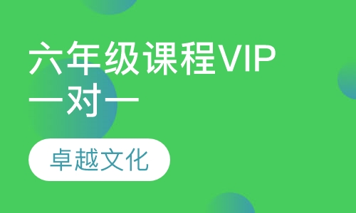 卓越文化小学六年级课程VIP一对一