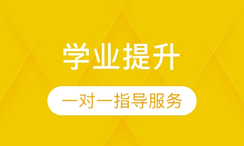 学业提升一对一指导服务