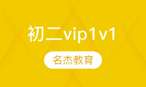 初二vip1v1