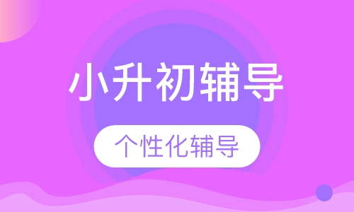 小升初个性化辅导