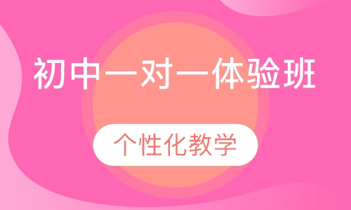初中一对一体验班