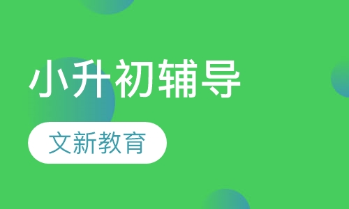 小升初辅导
