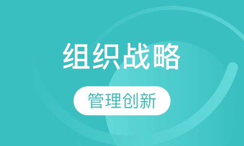 组织战略
