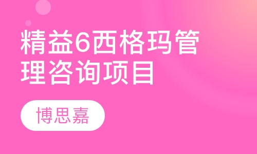 精益 6西格玛管理咨询项目