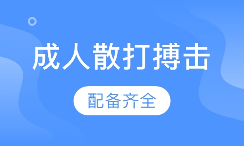 成人散打搏击