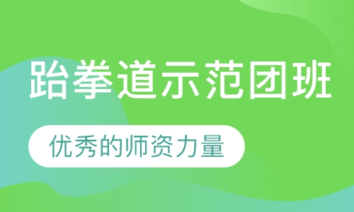 跆拳道示范团班