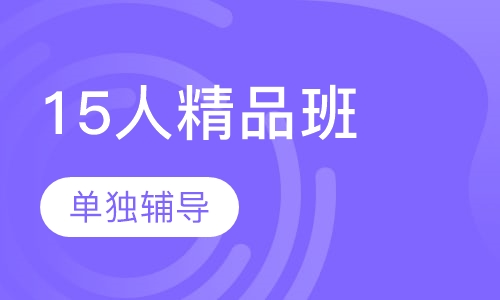 艺考生文化课15人精品班