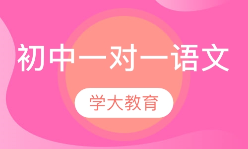 初中一对一辅导语文