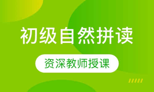 直播课初级自然拼读