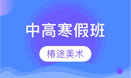 中高寒假班