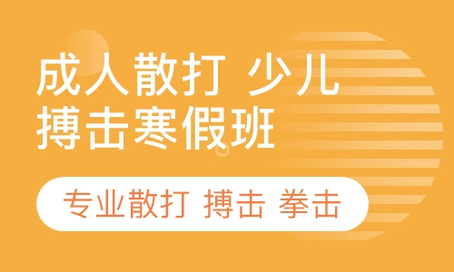 青少年散打搏击班 拳击班 寒假班已开课