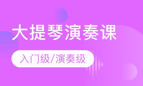 大提琴 入门级/演奏级