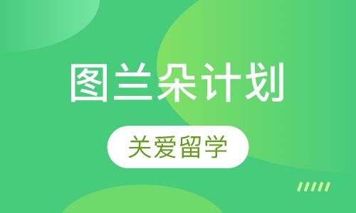 图兰朵计划
