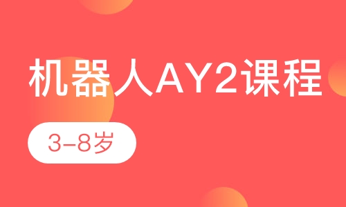 3-8岁机器人AY2课程