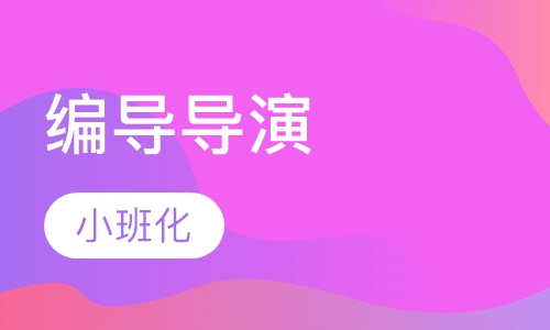 上海艺考星2019年编导招生中