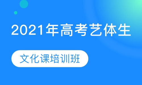 2021年高考艺体生文化课培训班