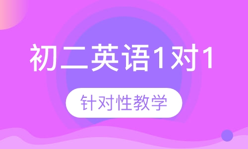 初二英语1对1辅导