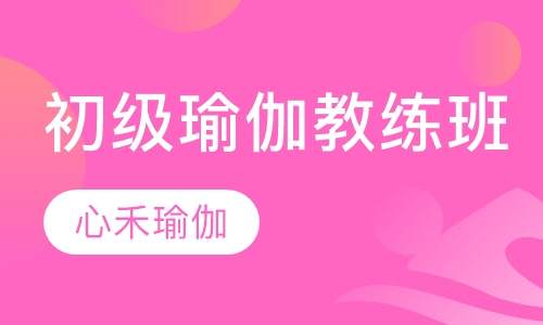 初级瑜伽教练班培训
