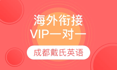 海外衔接 VIP一对一