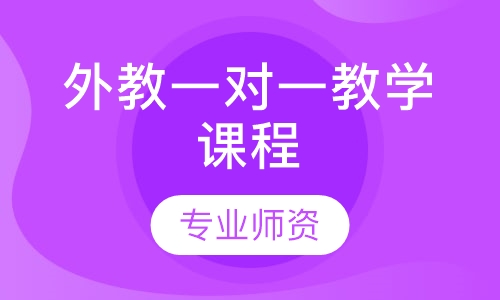 外教一对一教学课程