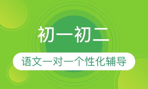 初一初二语文一对一辅导