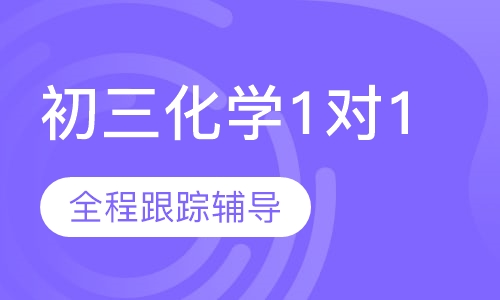 初三化学1对1辅导