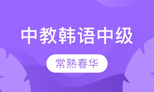 中教韩语中级