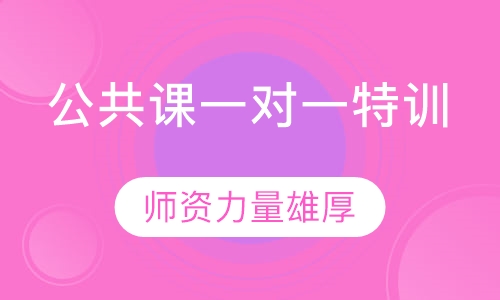公共课一对一特训