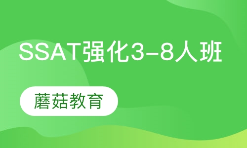 SSAT强化班（3-8人班）