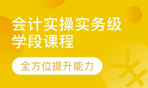 会计实操实务级学段课程