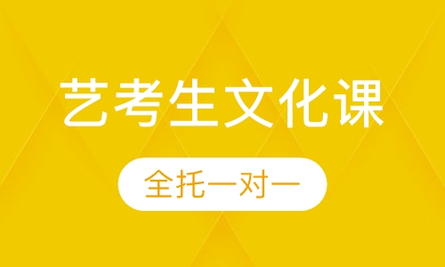 艺考生文化课全托一对一