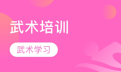 武术培训