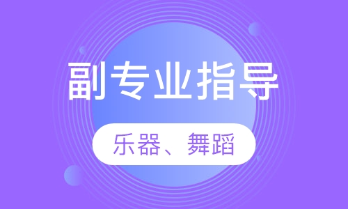 音乐副专业指导