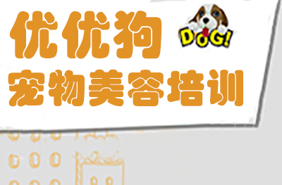 合肥优优狗宠物美容培训