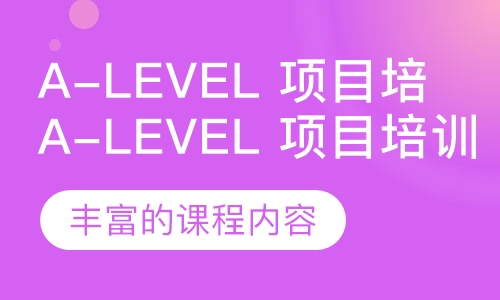 A-Level 项目培训