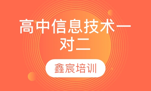 高中信息技术一对二