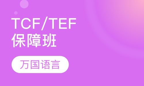 法语TCF/TEF冲刺班