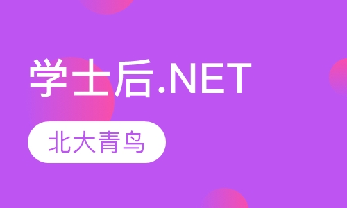 学士后.NET课程