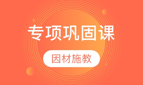 专项巩固课