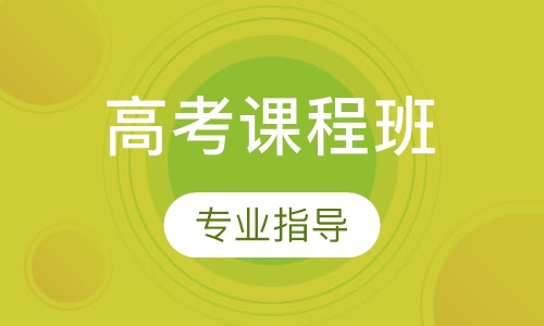 高考课程班