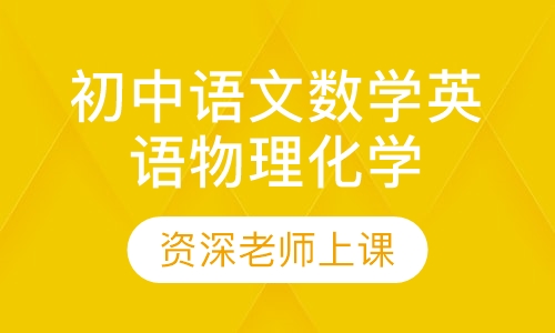 初中课程1对1辅导