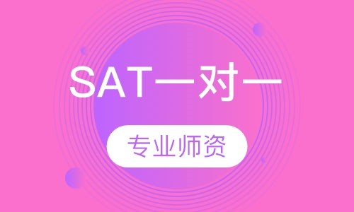 SAT一对一