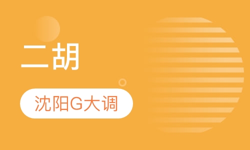 二胡成人